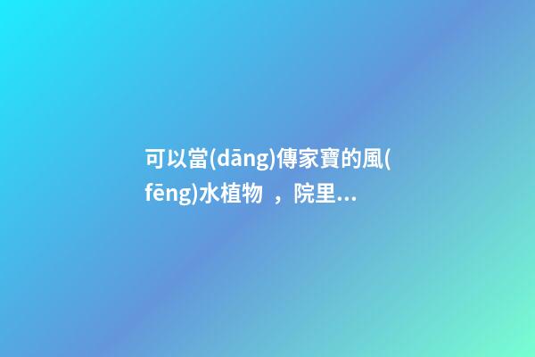 可以當(dāng)傳家寶的風(fēng)水植物，院里種一棵，開花就是千萬朵，紫氣東來